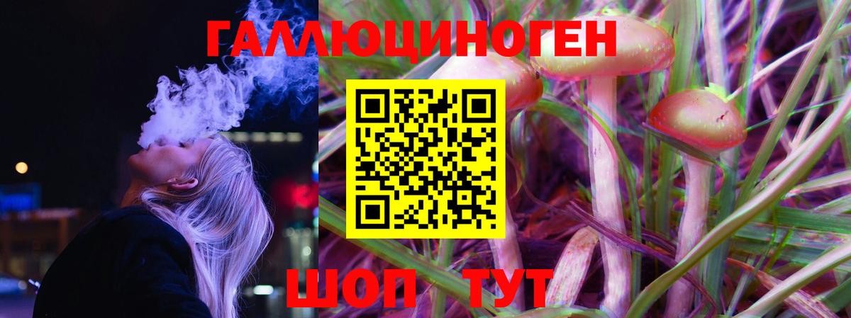 Псилоцибиновые грибы Psilocybe Темрюк